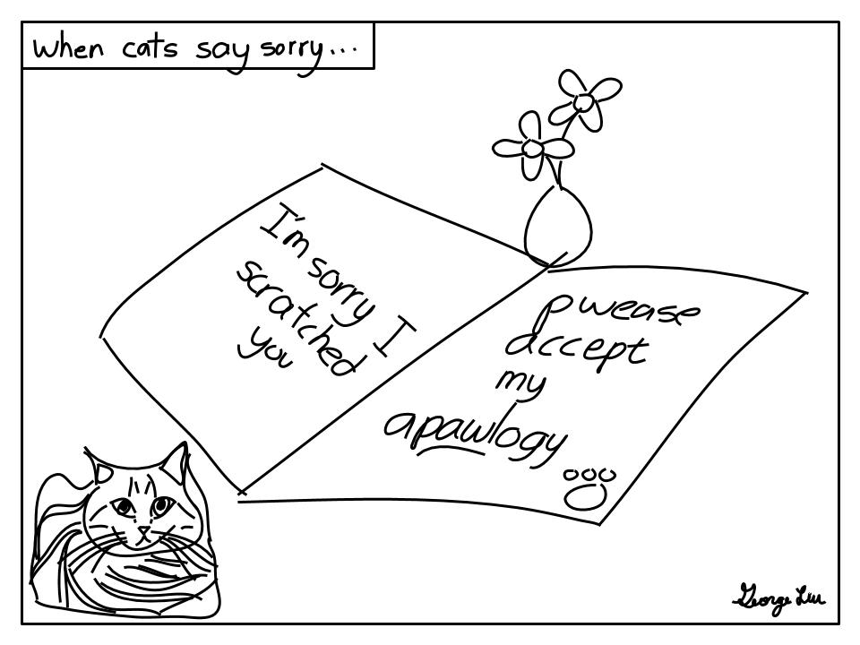 When cats say sorry... I'm sorry I scratched you. Pwease accept my apawlogy